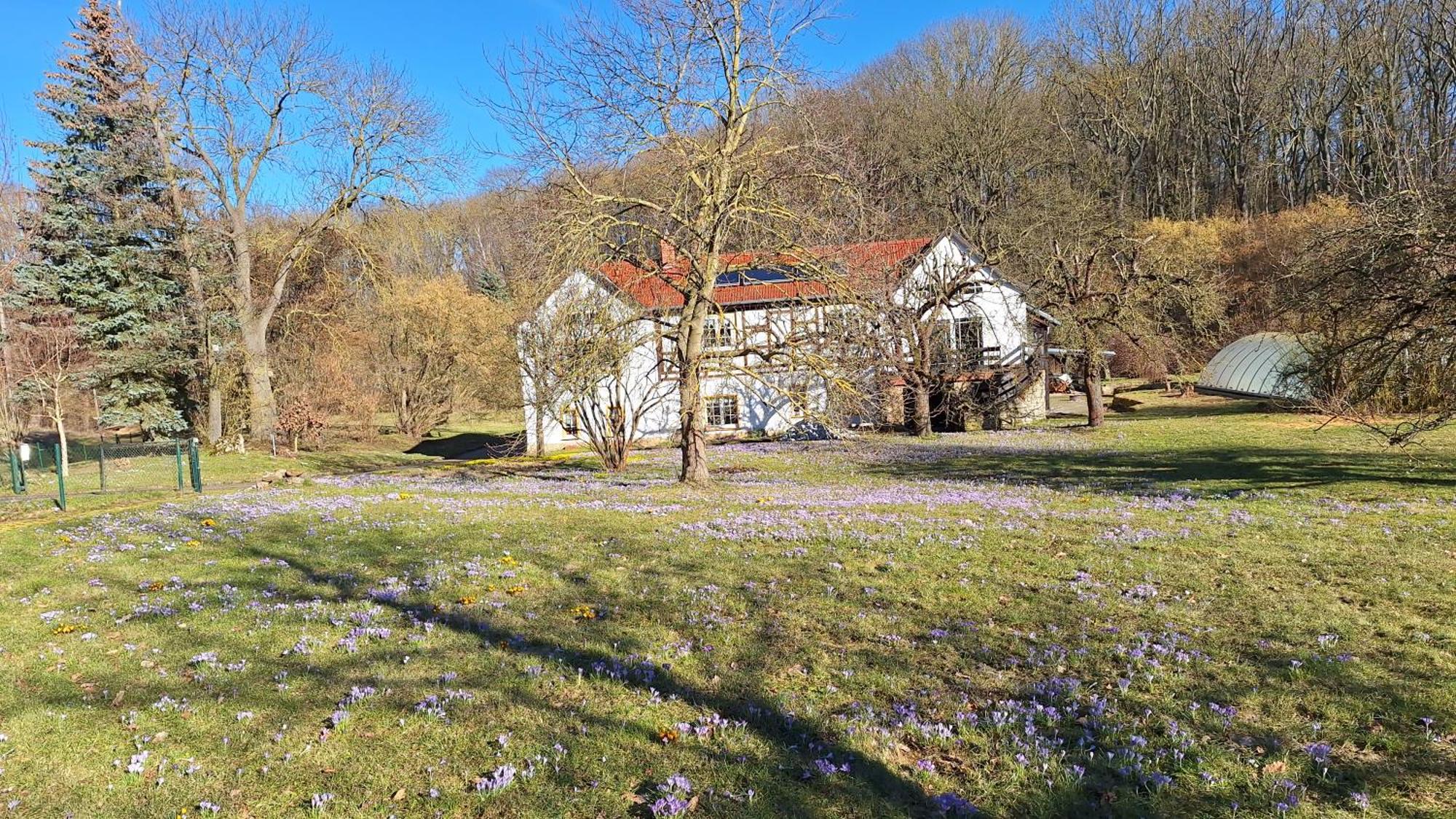 Ferienwohnung Obermuehle Ballstädt Quarto foto